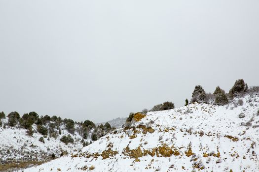 Nevada USA spring first snow in the mountains