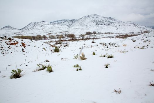 Nevada USA spring first snow in the mountains