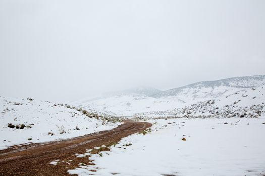 Nevada USA spring first snow in the mountains