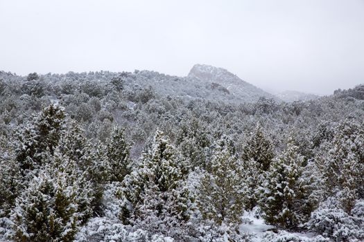 Nevada USA spring first snow in the mountains