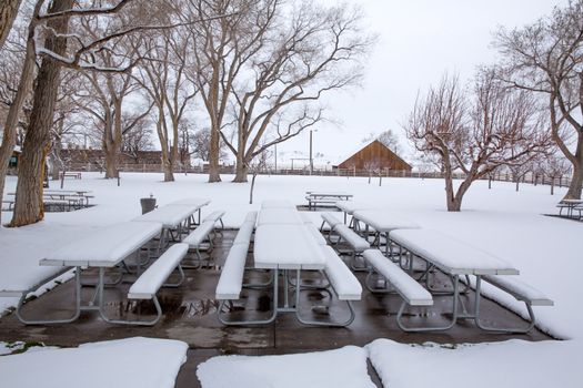 Nevada USA first snow at the park covering all in white