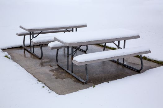 Nevada USA first snow at the park covering all in white