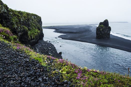 Black volcanic sand on the south coast of Iceland
