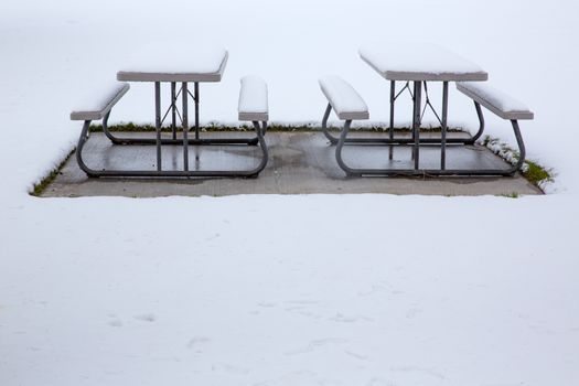 Nevada USA first snow at the park covering all in white