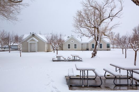 Nevada USA first snow at the park covering all in white