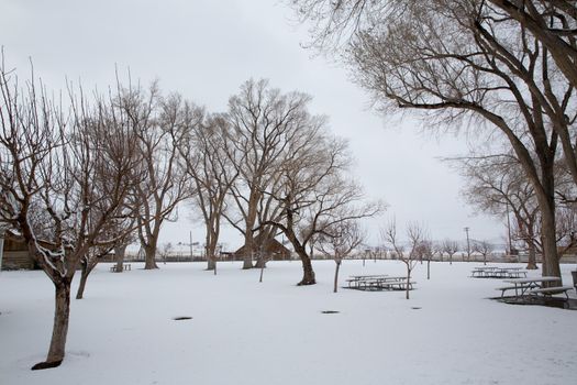 Nevada USA first snow at the park covering all in white