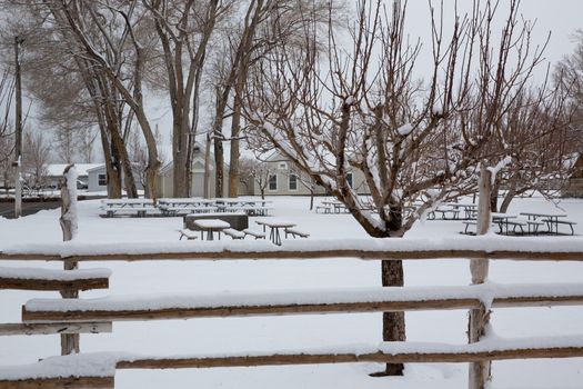 Nevada USA first snow at the park covering all in white