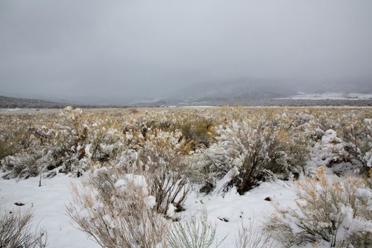 Nevada USA spring first snow in the mountains