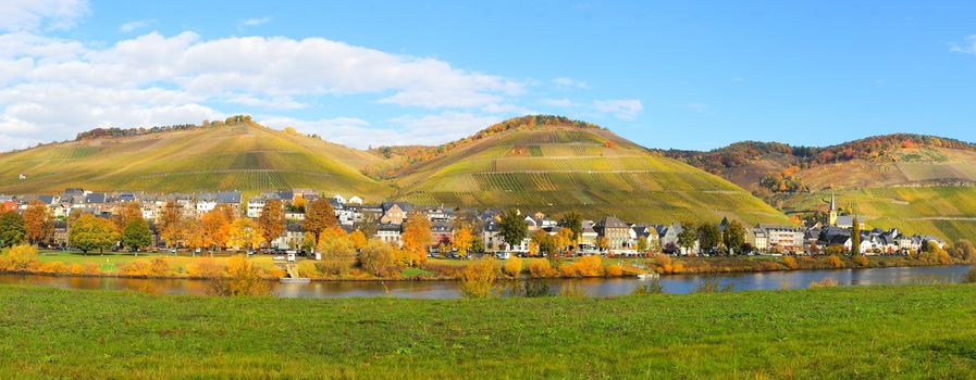 Zeltingen an der Mosel Panorama im Herbst
 