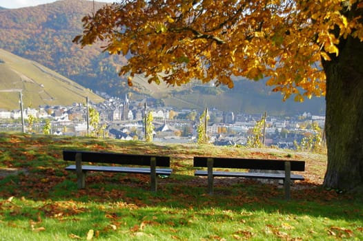 2 Bänke in den Weinbergen oberhalb von Bernkastel-Kues an der Mosel