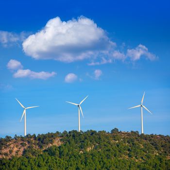 Aerogenerator windmills in the mountain top in a pine tree forest