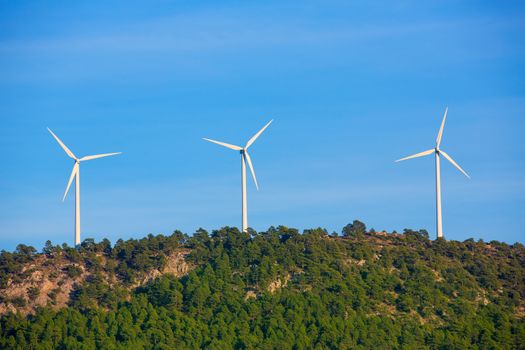 Aerogenerator windmills in the mountain top in a pine tree forest