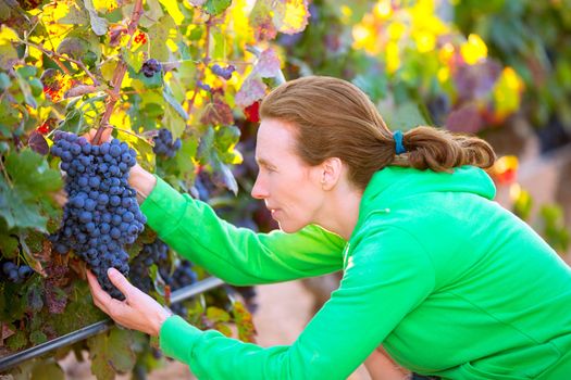 Farmer woman in vineyard harvest autumn leaves in mediterranean field