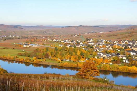 Herbst in Wintrich an der Mosel
