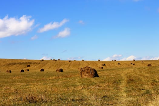 Straw roll bale on the field of farmland