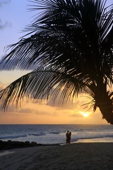 Romantic couple at beach with sunset in the background at Barbados island