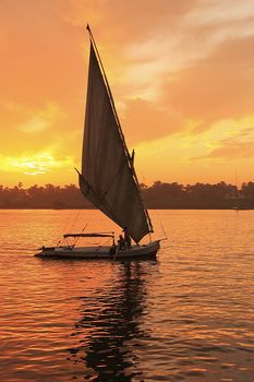 Felucca boat sailing on the Nile river at sunset, Luxor, Egypt