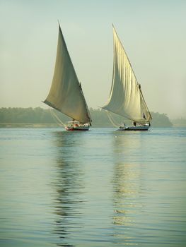 Felucca boats sailing on the Nile river, Egypt