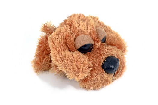 Fuzzy brown puppy toy, isolated on white background