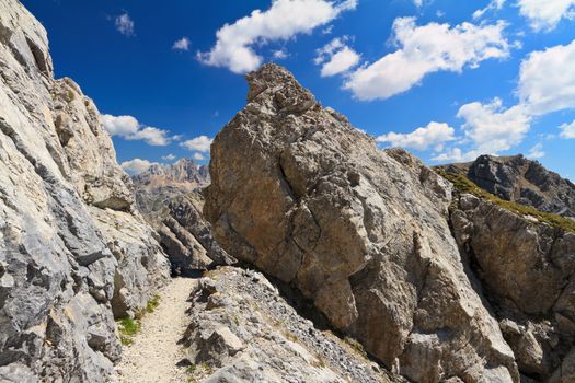 footpath on mountain ridge in San Pellegrino valley, Trentino, Italy