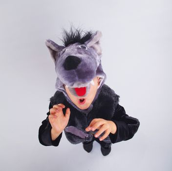 Little boy trying a carnival suit of wolf on the grey background