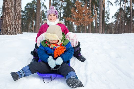 Cute sister and brother on sleds in snow forest.