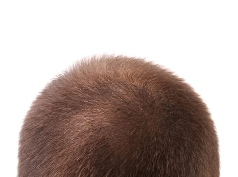 Close up of mans head. Whole background.