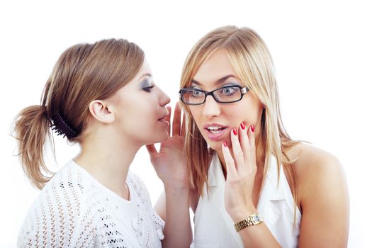 Two women communicating with each other