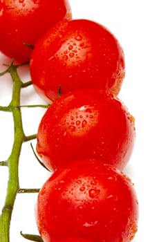 Ripe cherry tomatoes on white background