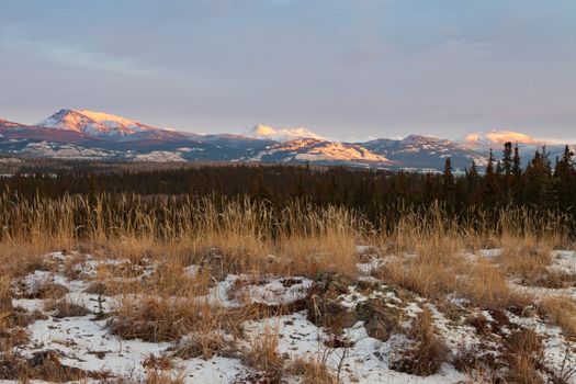 Early winter sunset mountains boreal forest taiga wilderness landscape of the Yukon Territory, Canada