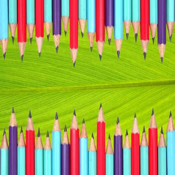 colorful pencils frame on leaf background