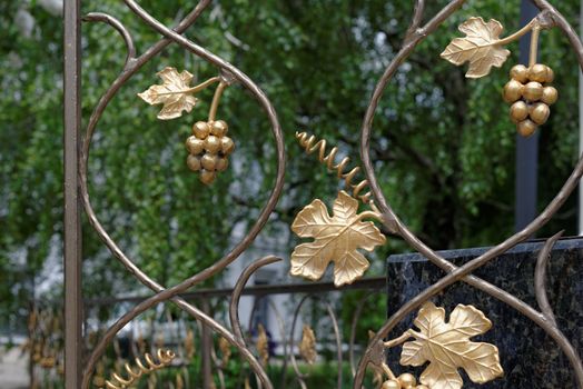 Fragment of decorative lattice in shape of grape vine in Kiev, Ukraine