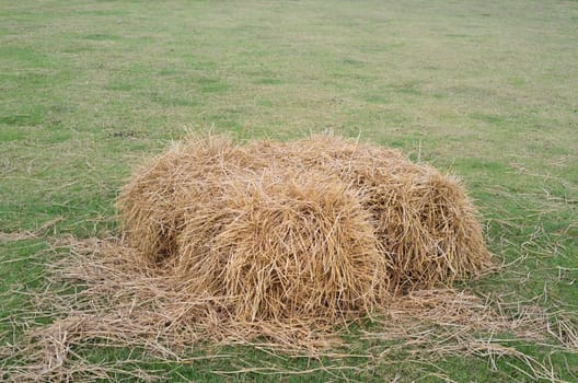 A pile of straw in field