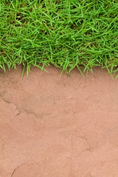 Fresh green grass on sand stone background