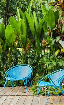 Blue chair with tree background in garden