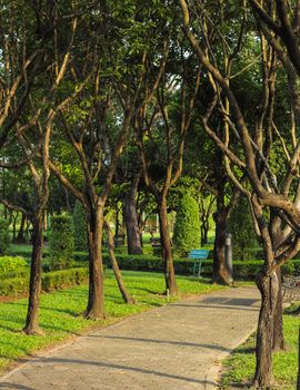 Garden path way with under tree decoration