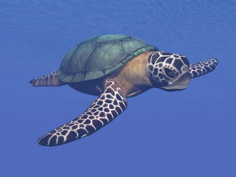 One sea turtle swimming into deep blue water