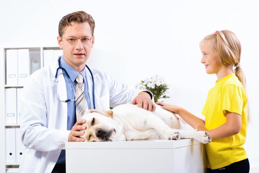 girl holds a dog in a veterinary clinic, veterinarian inspects a dog