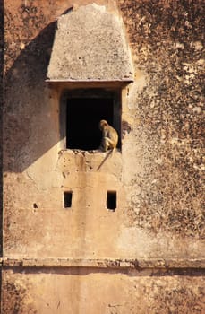 Taragarh Fort wall with a window, Bundi, India