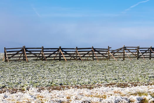 winter background with frost grass and snowdrift barrier against blue sky