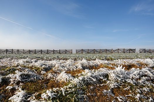 winter background with frost grass and snowdrift barrier against blue sky