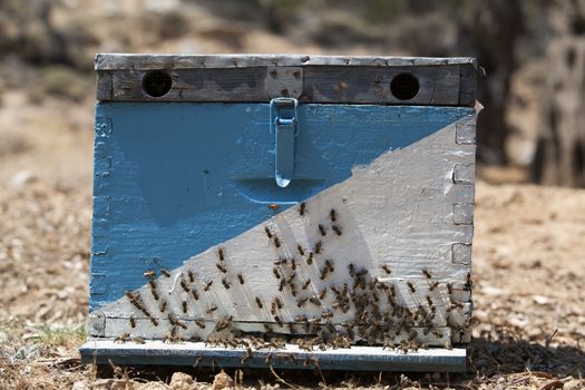 Blue and white beehive