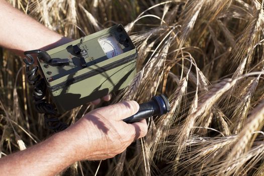 Measuring radiation levels of wheat