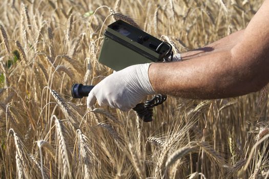 Measuring radiation levels of wheat