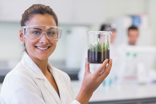 Close up of a smiling female scientist analyzing a young plant at the laboratory