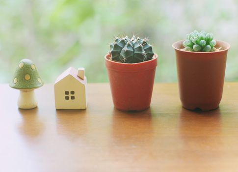 Cactus with small house and mushroom for decorated, retro filter effect