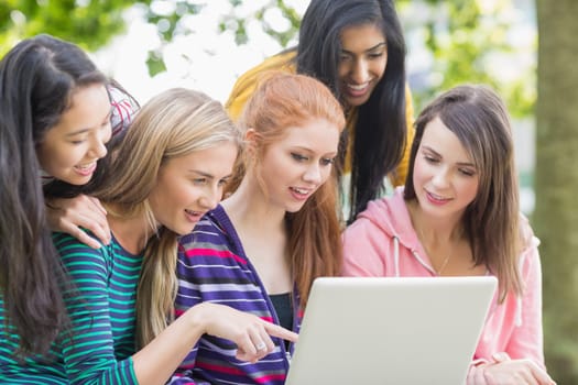 Group of young college girls using laptop in the park