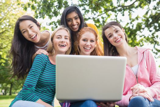 Group portrait of young college girls using laptop in the park
