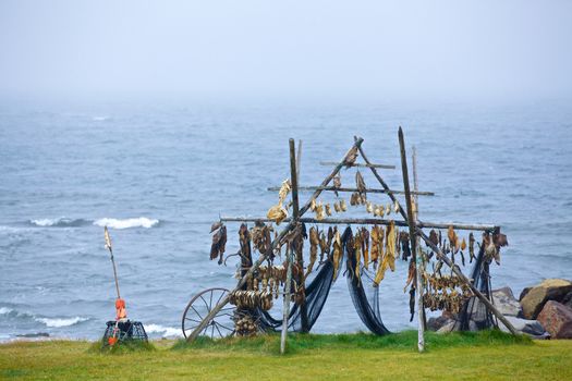 Trestles for hanging up fish to dry. The dry, cold wind removes the moisture and preserves the fish before it can spoil.