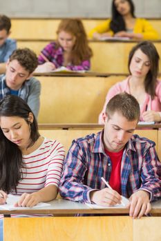 Concentrating students sitting at the lecture hall while writing